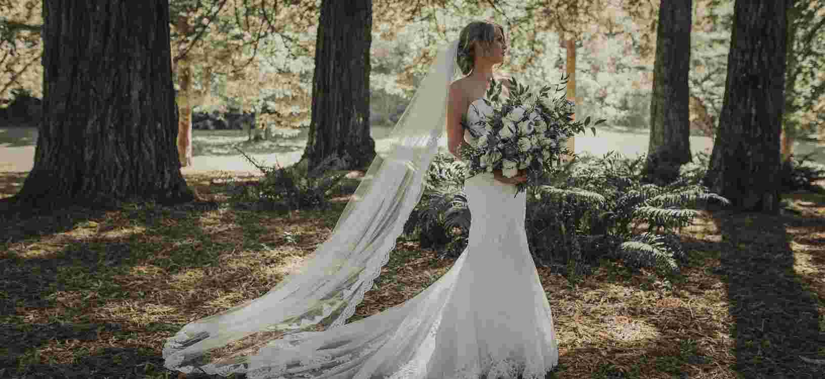 Wedding Bride in Trees